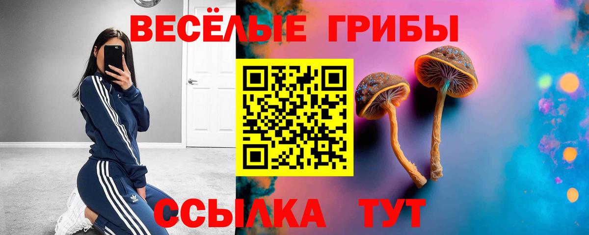 Белебей  Галлюциногенные грибы мухоморы  Вход с VPN 